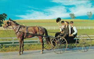 USA The Amish Courting Buggy Dutch Country Vintage Postcard 07.36