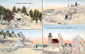 Winter Grandeur Scenic Winter Vistas - Petoskey, Michigan MI