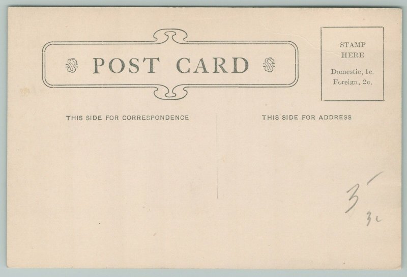 Green Bay Wisconsin~Public Library~1910 Postcard