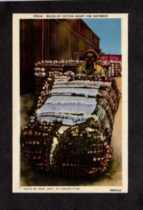 FL African American Hauling Bales of Cotton Linen Postcard Black Americana PC