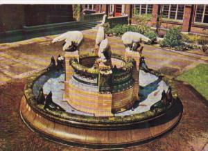 Netherlands Gravenhage The Peace Palace Fountain