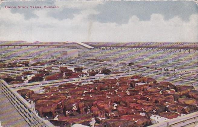 Illinois Chicago Union Stock Yards Cattle Pens