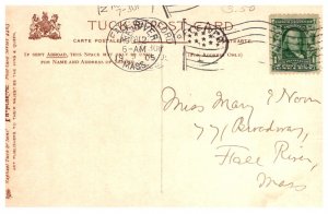 Dog ,  Greyhounds on the Alert