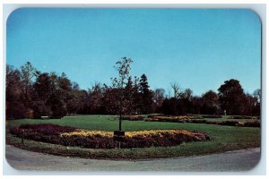 View Of Holliday Park Garden Indianapolis Indiana IN Vintage Unposted Postcard 