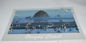 Oregon Coast Postcard Photo by Phil Corson Smith-Western USA SPC-0464A