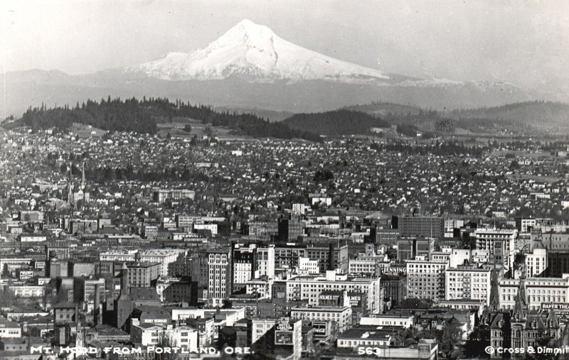 Vintage Postcard Real Photo Mount Hood From Portland Oregon Buildings OR RPPC