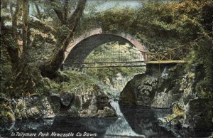 Newcastle Ireland Bridge in Tolllymore Park c1910 Vintage Postcard