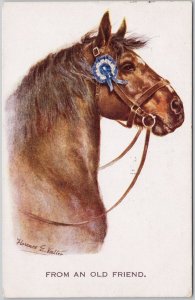 Horse Portrait From Old Friend Blue Ribbon Florence E. Valter Postcard H78