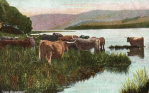 Vintage Postcard 1910's Loch Vennachar Freshwater Stirling District Scotland UK