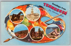 1963 GREETINGS FROM TENNESSEE ARTISTS PALETTE 5 VIEWS VINTAGE CHROME POSTCARD