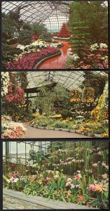 Lot of 3 Ohio CINCINNATI Interior - Eden Park Conservatory - Chrome