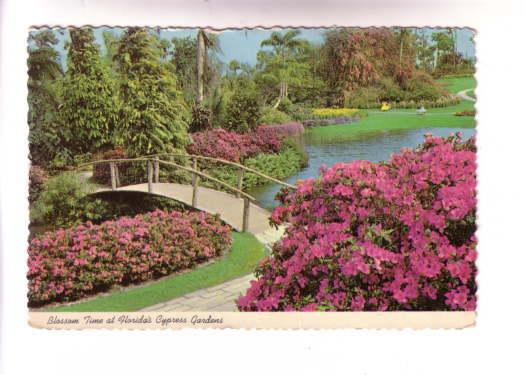 Bridge, Blossom Time in Cypress Gardens Florida