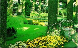 Conservatory Interior Longwood Gardens Wilmington Delaware DE Chrome Postcard A9