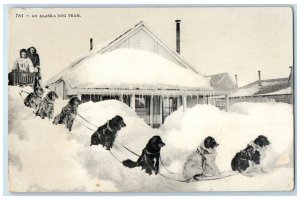 c1910's An Alaska Dog Team Winter Snow Sledding Posted Antique Postcard