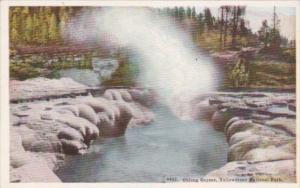 Oblong Geyser Yellowstone National Park