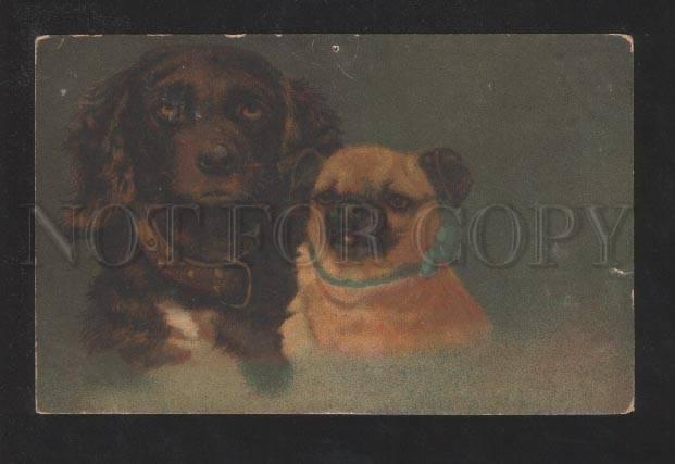 070397 Terrier & PUG Puppies Vintage Color PC