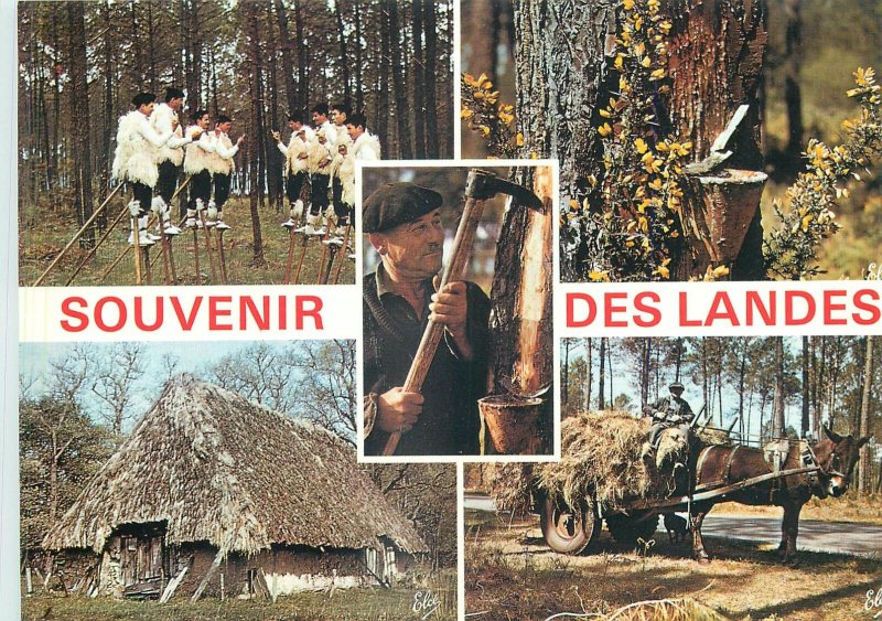 Postcard ethnic french costume folklore souvenir des Landes