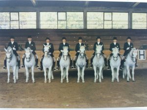 Vintage Postcard Lipica Stud Farm Lipizzan Horses Slovenia