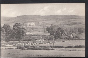 Unknown County Postcard - Large Gathering of People - Rural Location  DR755