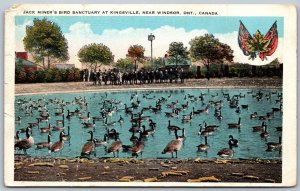 Postcard Kingsville Ontario c1920s Jack Miners Bird Sanctuary near Windsor