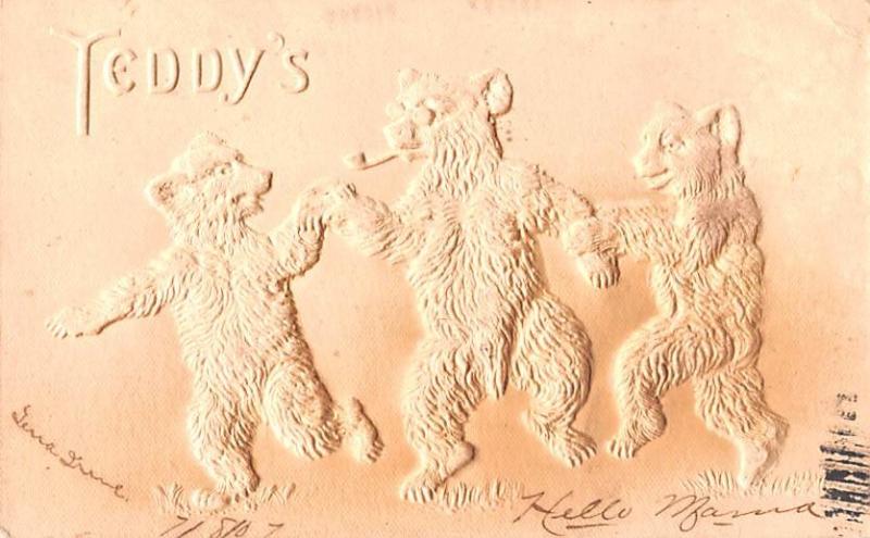 Bear Post Card Old Vintage Antique Teddy B 1907