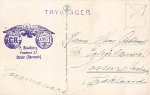 Denmark 1927 Bjerritsgaard Lolland Philatelic Interest vintage postcard