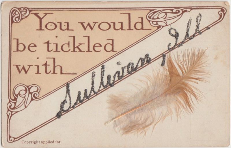 Illinois Il Postcard c1910 SULLIVAN Feather Tickled Greetings Glitter