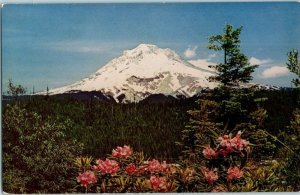Mt Hood and wild rhododendrons Postcard