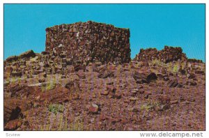 Agate House,  Third Forest Petrified Forest National Monument,  Arizona,  40-60s