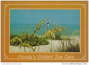 Florida Sea Oats and Sand Dunes