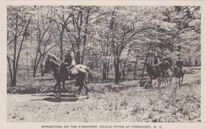 North Carolina Pinehurst Springtimee On The Pinehurst Bridle Paths At Pinehur...