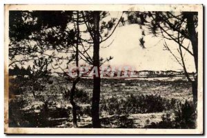 Ile de Re - Rivedoux seen Foret de Pins - Old Postcard