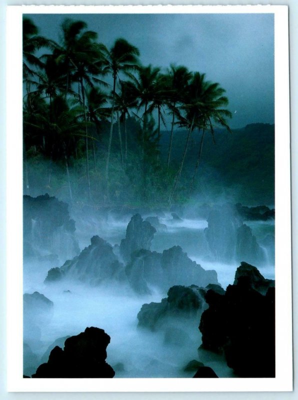 David Muench KEANAE POINT, Maui HI ~ Lava & Wave Action 1995 - 5x6.5 Postcard