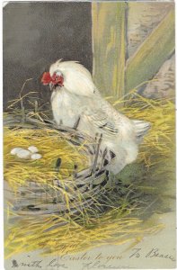 Hen and Her Nest of Eggs Tuck's Easter Series#1242 Embossed Mailed 1906