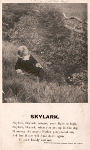 Vintage Postcard Skylark Cute Baby Wondering To Her Mother To Come Home Again