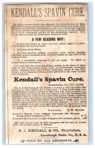 1880 Kendall's Spavin Cure Dandy Urchin & Donkey Farm #6P