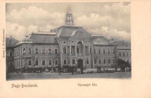 Nagy Becskerek Serbia Yugoslavia City Hall Antique Postcard J65978