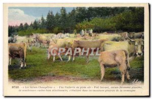 Old Postcard Scenes champetres An outdoor cowshed Cows