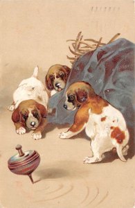 Dogs Puppies Playing with Spinning Top Embossed Vintage Postcard AA63464