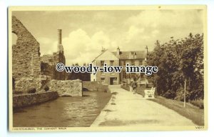 tq0247 - Hants - The Convent Walk by the Ruins c1919, Christchurch - postcard