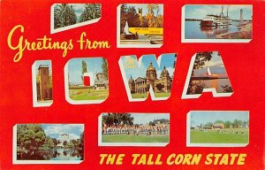 Tall Corn State Greetings from, Iowa Postcard