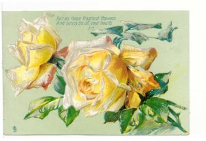 Yellow Roses, Antique Embossed Tuck's Greetings Postcard, Art Series #6881