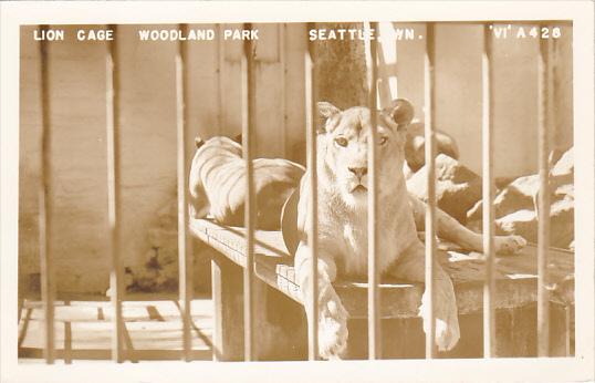 Lion Cage Woodland Park Zoo Seattle Washington Real Photo