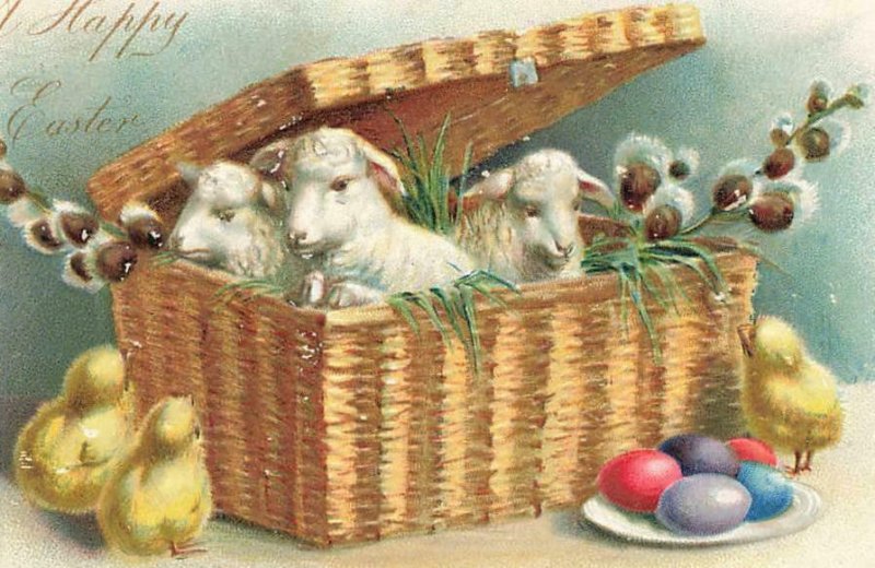 Tuck Lambs Inside Basket Chicks Eggs Happy Easter Embossed c1905 P152