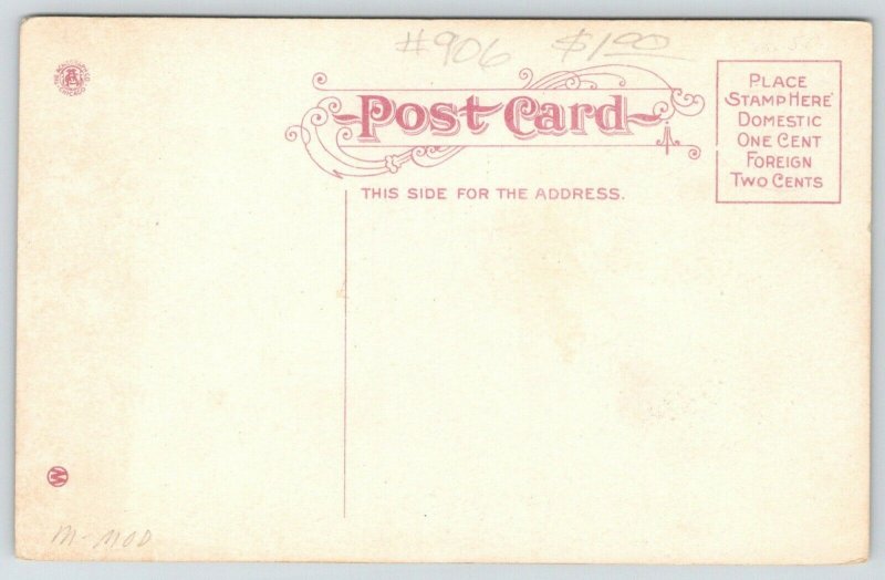 Sioux Falls South Dakota~All Saints School~Rounded Front~Cupolas c1910