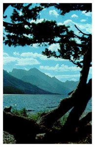 Postcard WATER SCENE Waterton Lakes National Park Alberta AB AR0424