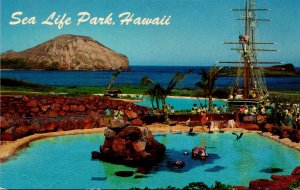 Hawaii Oahu Makapuu Point Sea Life Park Leeward Isles Pool