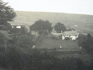 Devon Dartmoor SOUTH ZEAL - POLTIMORE Rural View - Old RP Postcard