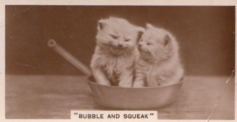 Bubble & Sqeak Cats In Frying Pan Cat Old Real Photo Cigarette Card