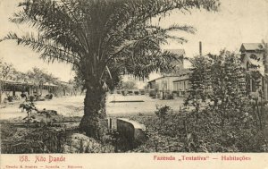 PC CPA ANGOLA / PORTUGAL, ALTO DANDE, FAZENDA TENTATIVA, POSTCARD (b13314)